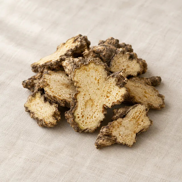Atractylodes rhizome