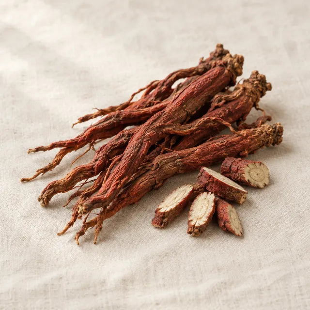Dan shen, red sage root