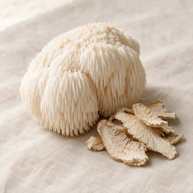Lion's mane