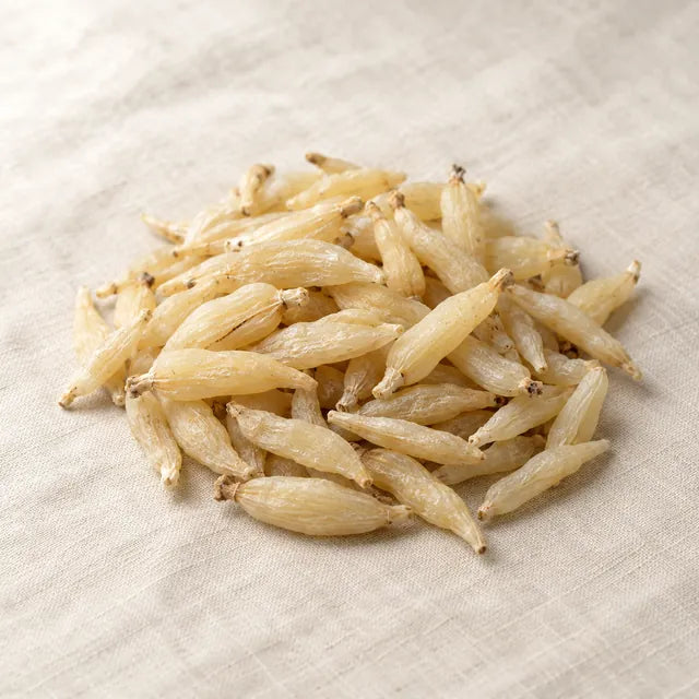 Ophiopogon tuber