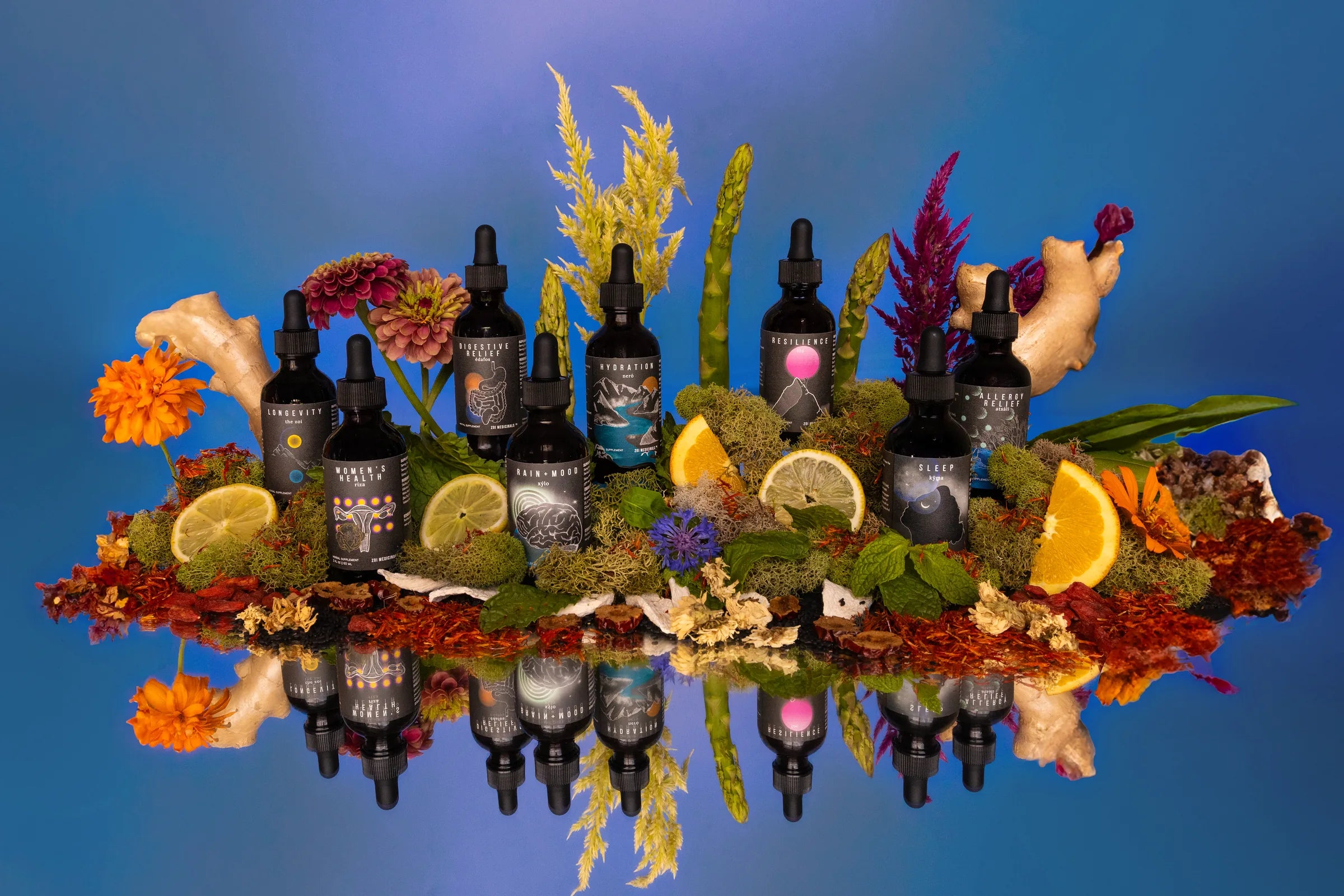 The Zoi Moderns standing in moss, citrus, ginger and flowers on a blue backdrop, reflected below