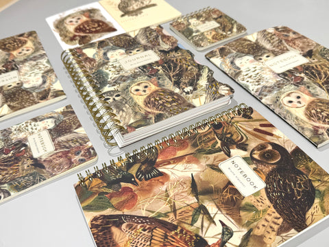 BV by Bruno Visconti - Owls Notebook