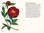 Paige Tate & Co. - A Little Book of Flowers: Peonies