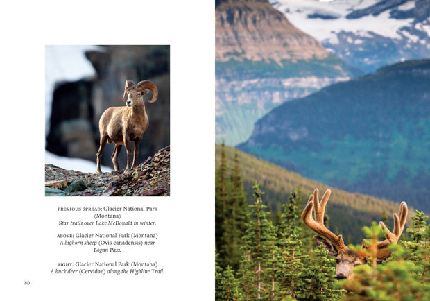 Insight Editions - America's National Parks (Mini Book)
