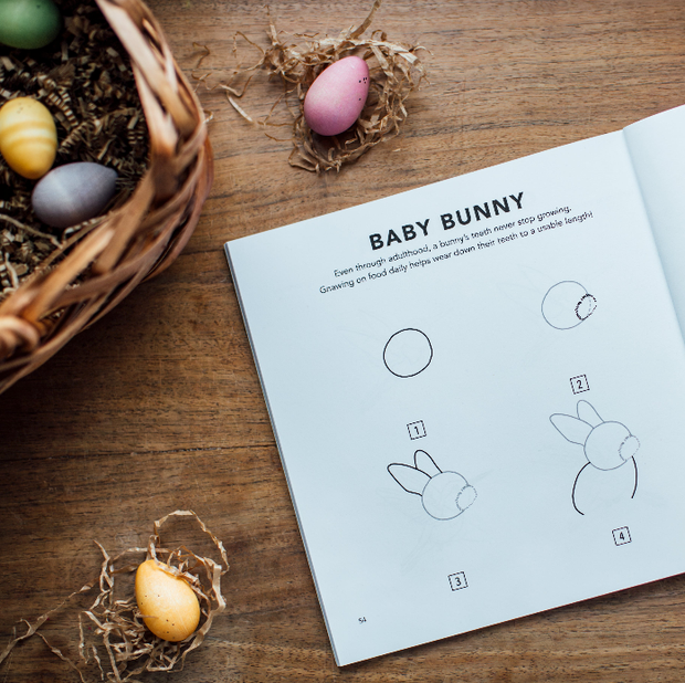 Paige Tate & Co. - Spring Things: How to Draw Books for Kids