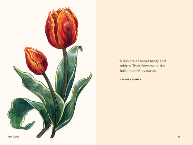 Paige Tate & Co. - A Little Book of Flowers: Tulips