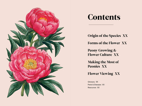 Paige Tate & Co. - A Little Book of Flowers: Peonies