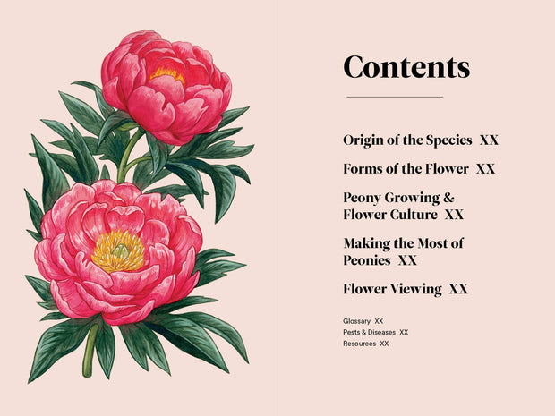 Paige Tate & Co. - A Little Book of Flowers: Peonies