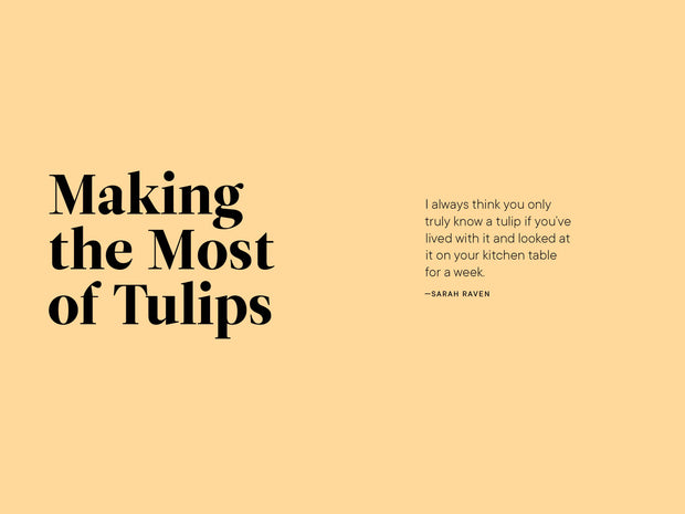 Paige Tate & Co. - A Little Book of Flowers: Tulips