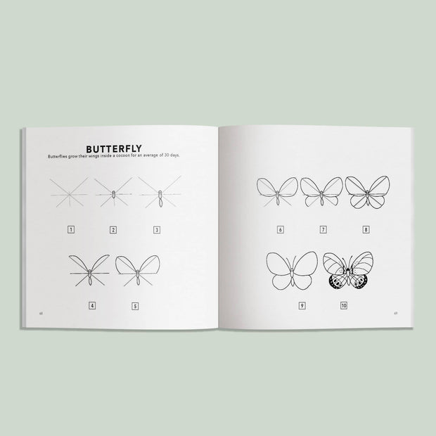 Paige Tate & Co. - Spring Things: How to Draw Books for Kids