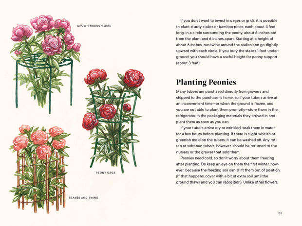 Paige Tate & Co. - A Little Book of Flowers: Peonies