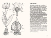 Paige Tate & Co. - A Little Book of Flowers: Tulips