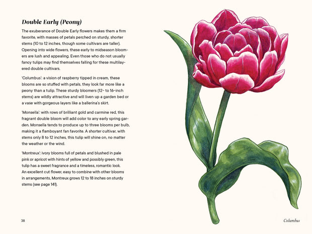 Paige Tate & Co. - A Little Book of Flowers: Tulips