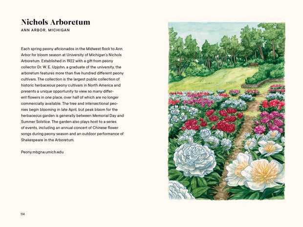 Paige Tate & Co. - A Little Book of Flowers: Peonies