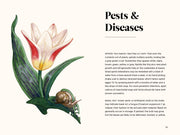 Paige Tate & Co. - A Little Book of Flowers: Tulips