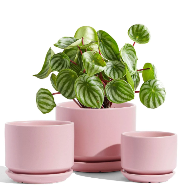 BEMAY Ceramic Planter- Pink