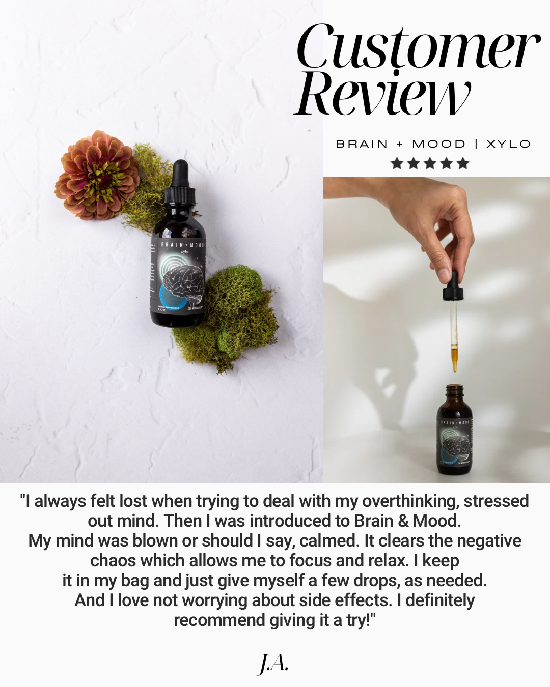 Brain + Mood - Xýlo™ – Zoi Medicinals