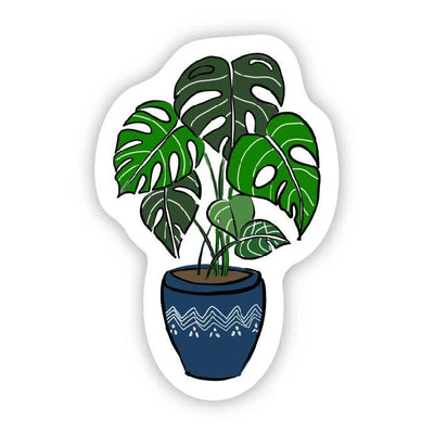 Big Moods - Houseplant - Blue Pot