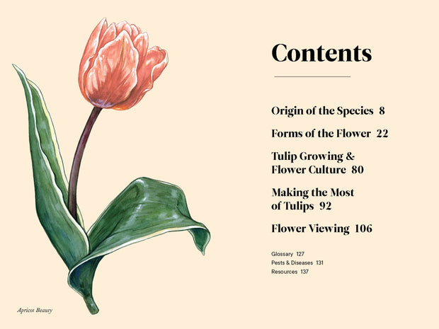 Paige Tate & Co. - A Little Book of Flowers: Tulips