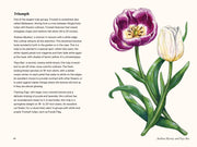 Paige Tate & Co. - A Little Book of Flowers: Tulips