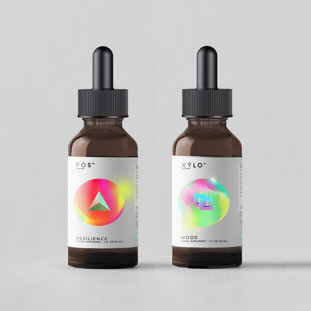 Focus & Brain Support Power Pair : Fos | Resilience + Xylo | Mood