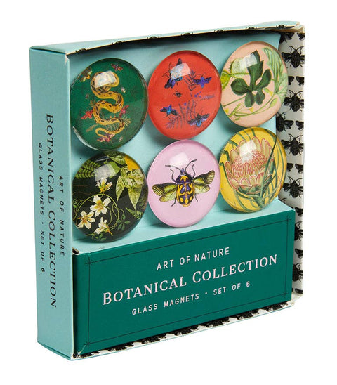 Insight Editions - Art of Nature: Botanical Glass Magnet Set (Set of 6)
