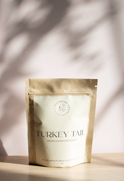 Daydream Organics - Turkey Tail Mushroom Powder