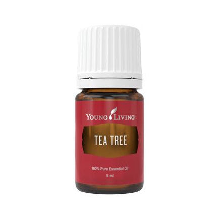 Young Living Tea Tree Pure Essential Oil