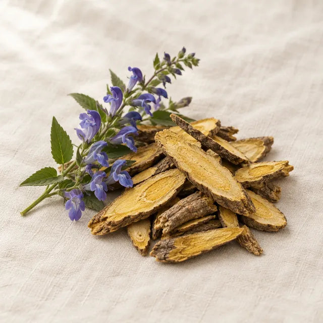 Chinese skullcap