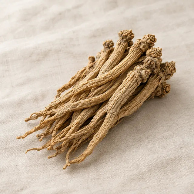 Codonopsis root