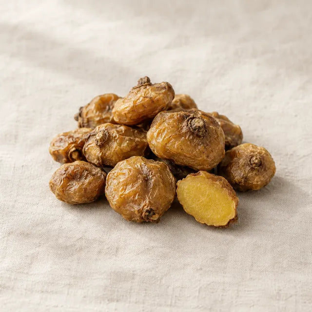 Corydalis root