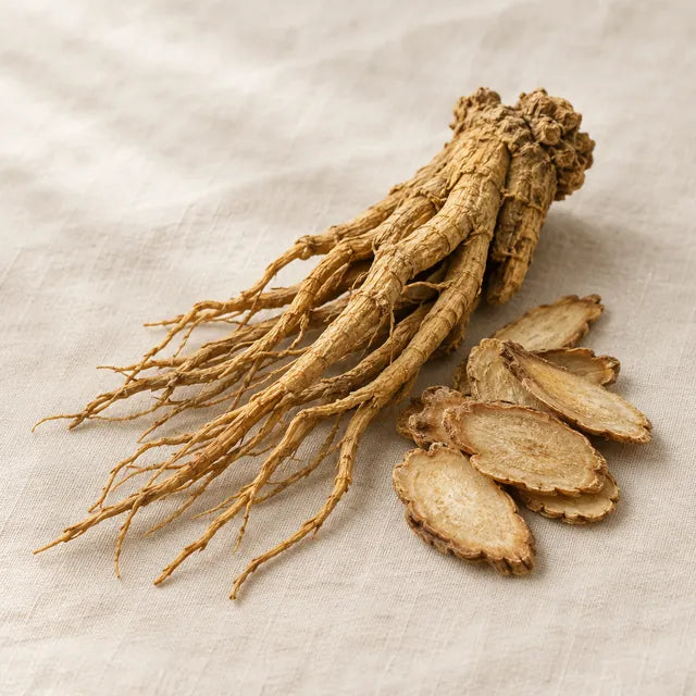 Dang gui, angelica root