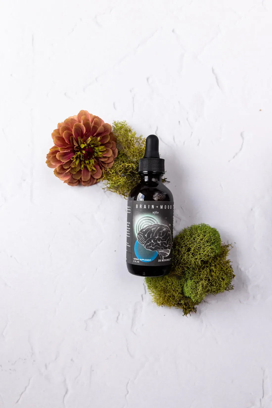 Brain + Mood · Xýlo herbal tincture, 2 fl oz amber bottle