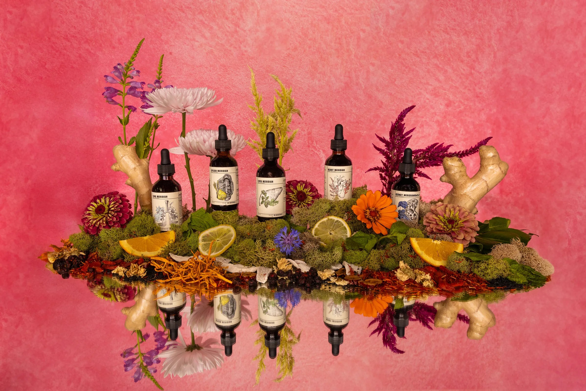 The five Organ Meridians standing in moss, citrus, ginger and flowers on a pink backdrop, reflected below